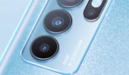 迷蝶岛最新爆料消息视频,神秘视频揭示岛屿秘密与未知奇遇