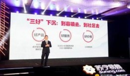 苏宁快递最新爆料,揭秘快递行业变革与未来趋势