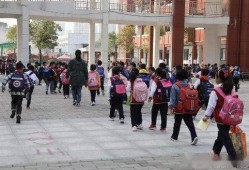 开封小学爆料案件最新,真相揭开，正义终将到来