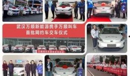 万顺叫车平台最新爆料,揭秘行业变革背后的秘密